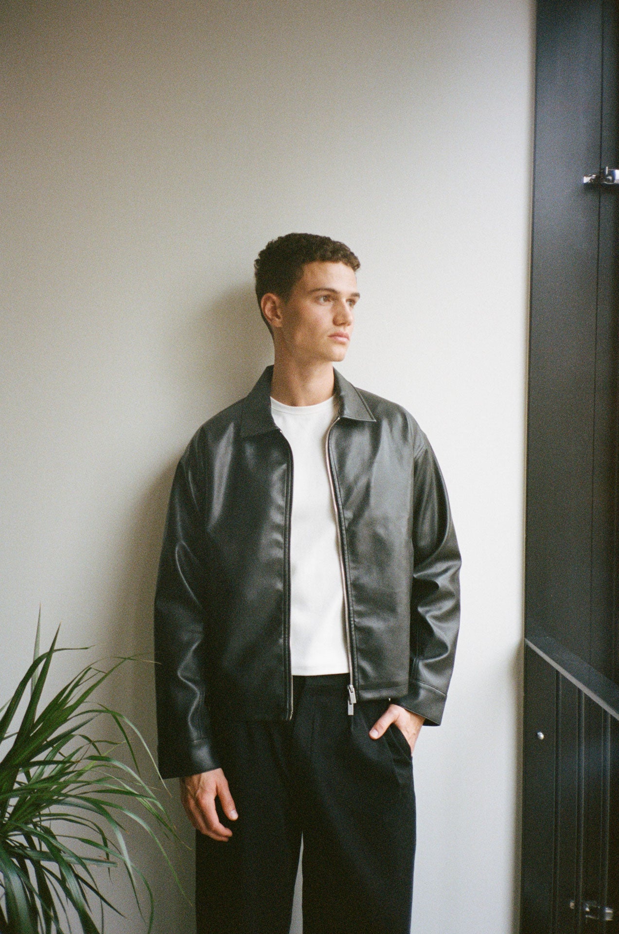 Zayn Jacket | 33mm - Inspired by Nostalgia